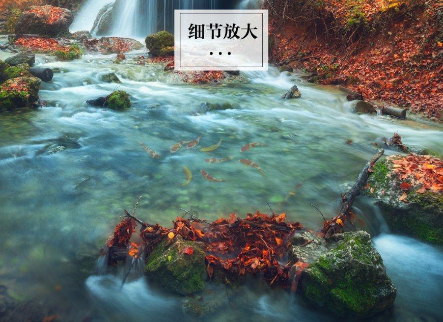 失忆的流浪者